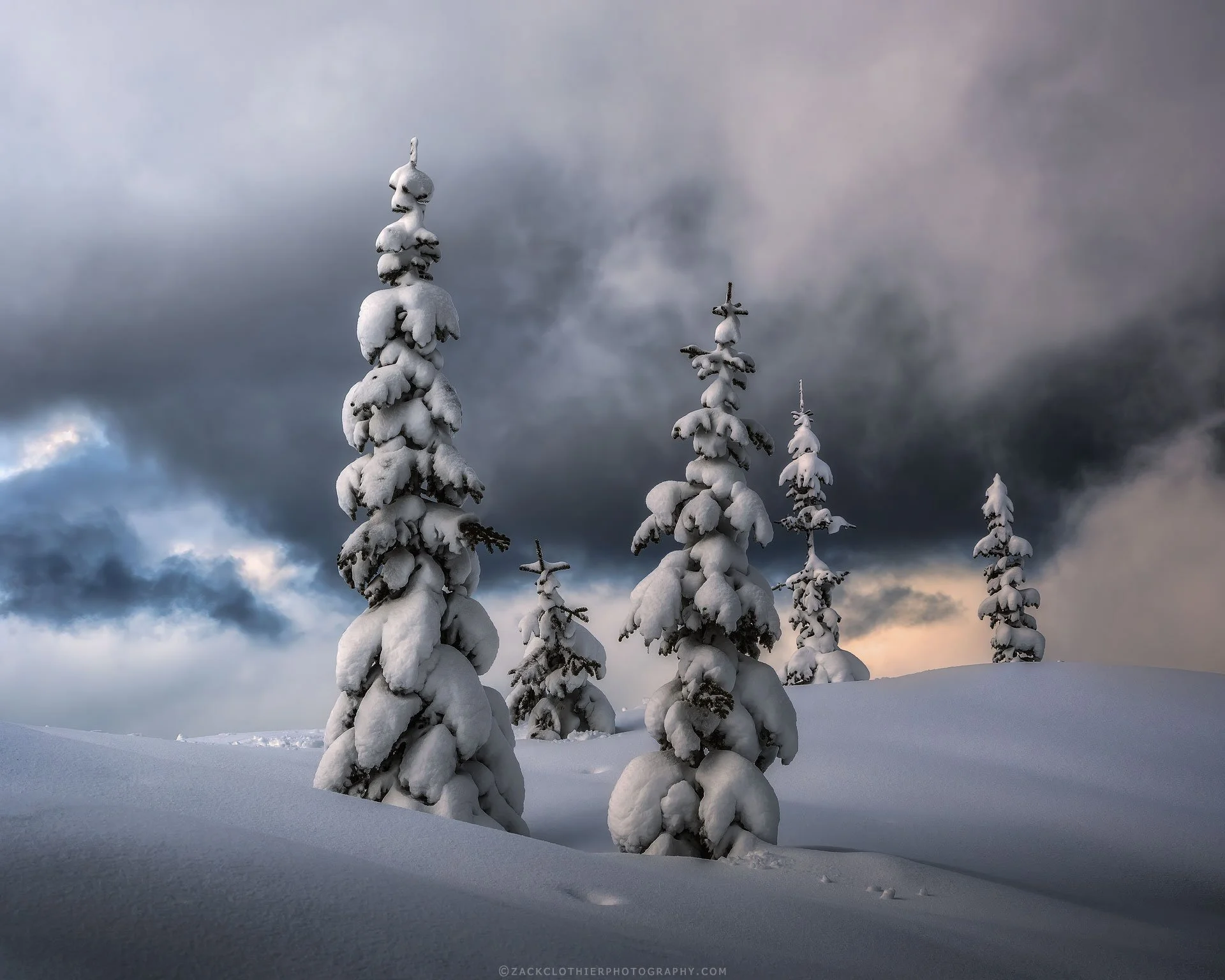 Winter's-Last-Stand-Montana-Fine-Art-Nature-Print-Photography.jpg