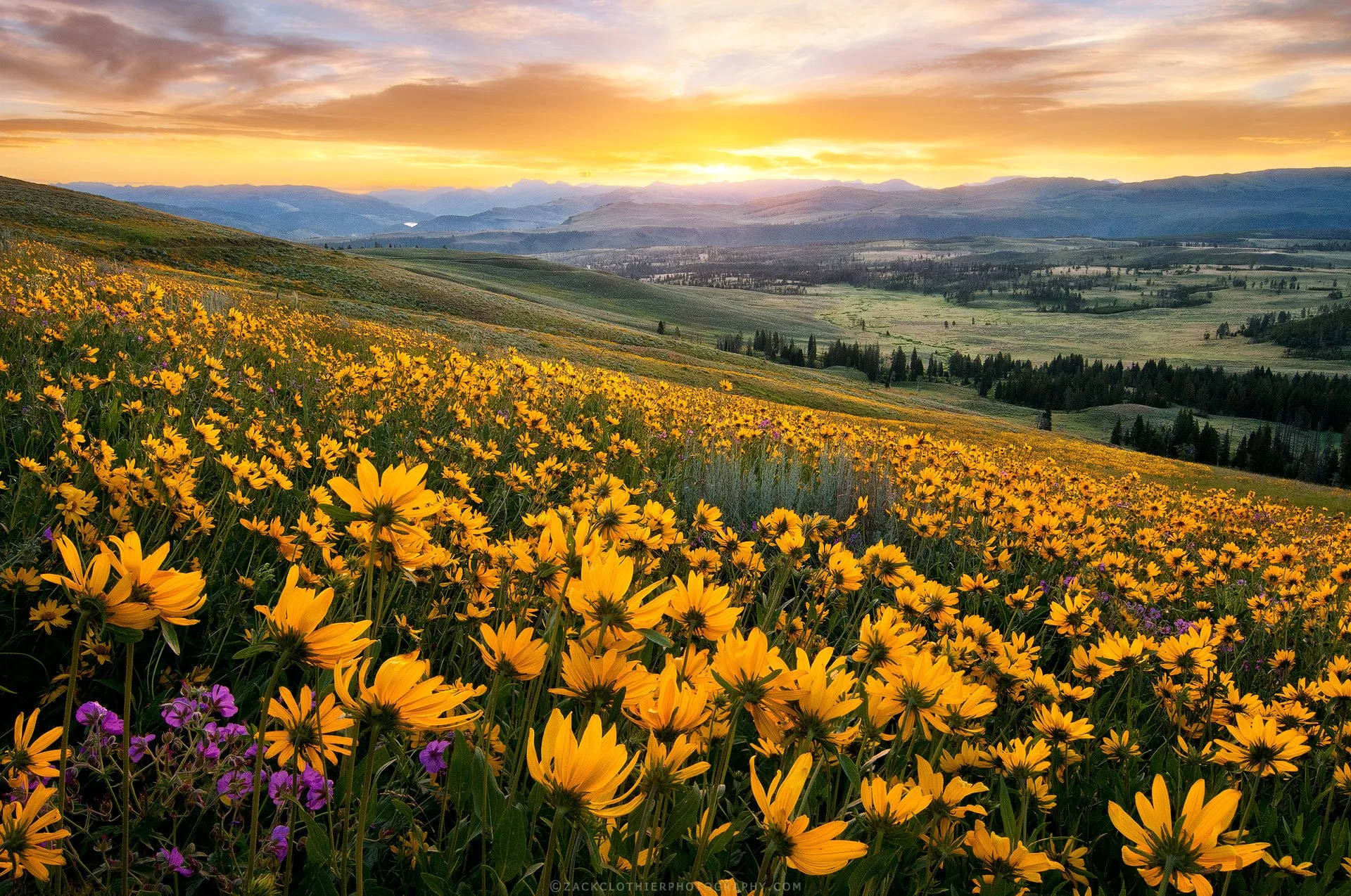 Standing-Ovation-Wyoming-Fine-Art-Nature-Print-Photography.jpg