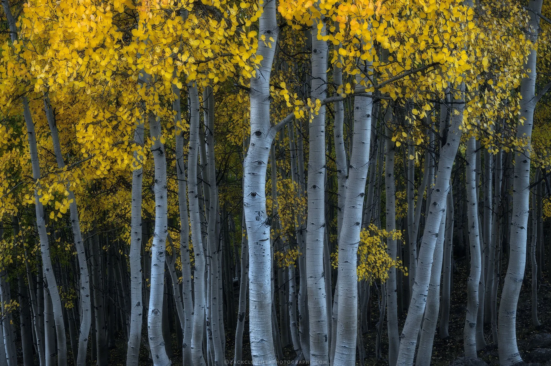 Unity-Colorado-Fine-Art-Nature-Print-Photography.jpg