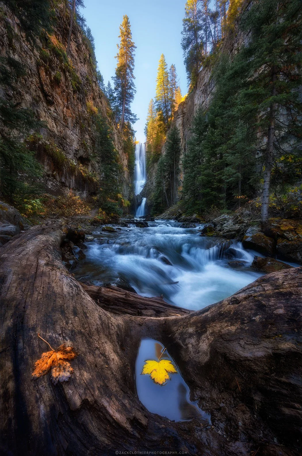 Fall-For-Autumn-Colorado-Fine-Art-Nature-Print-Photography.jpg