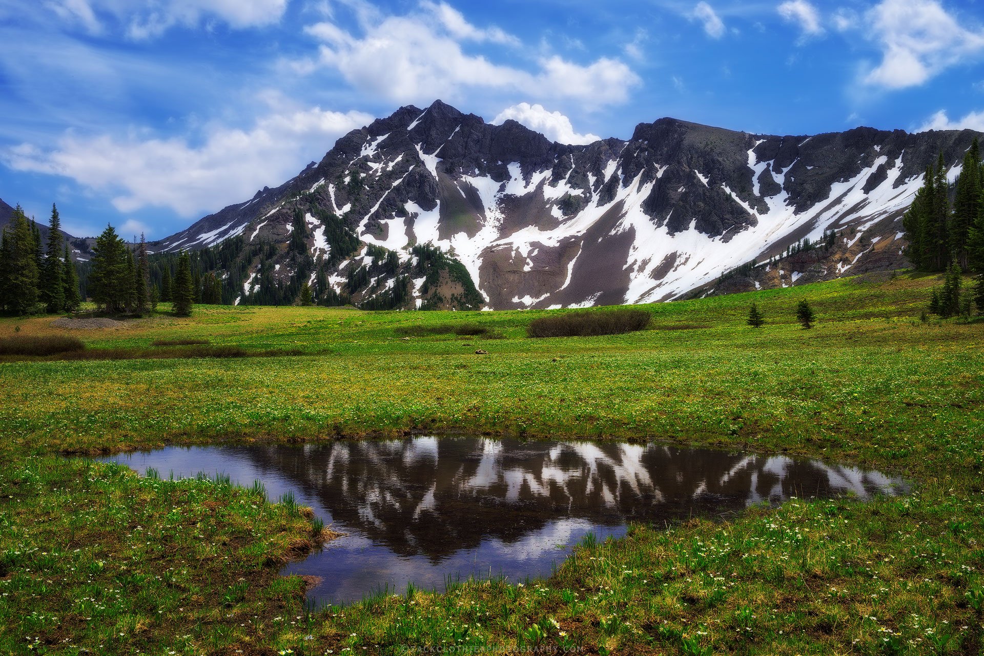 Dreams-Of-Summer-Montana-Fine-Art-Nature-Print-Photography.jpg