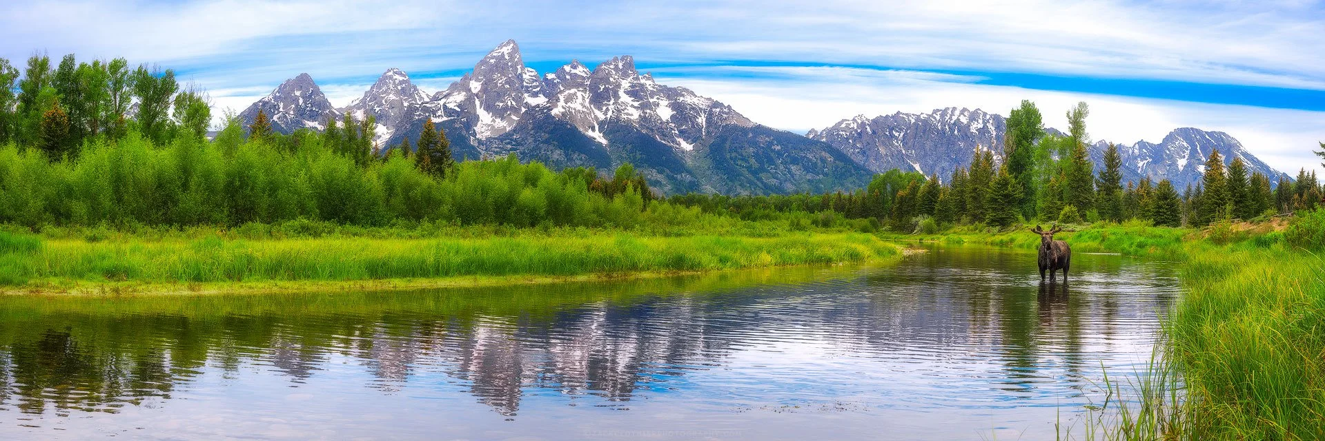 Spring-In-The-Tetons-Wyoming-Fine-Art-Nature-Print-Photography.jpg