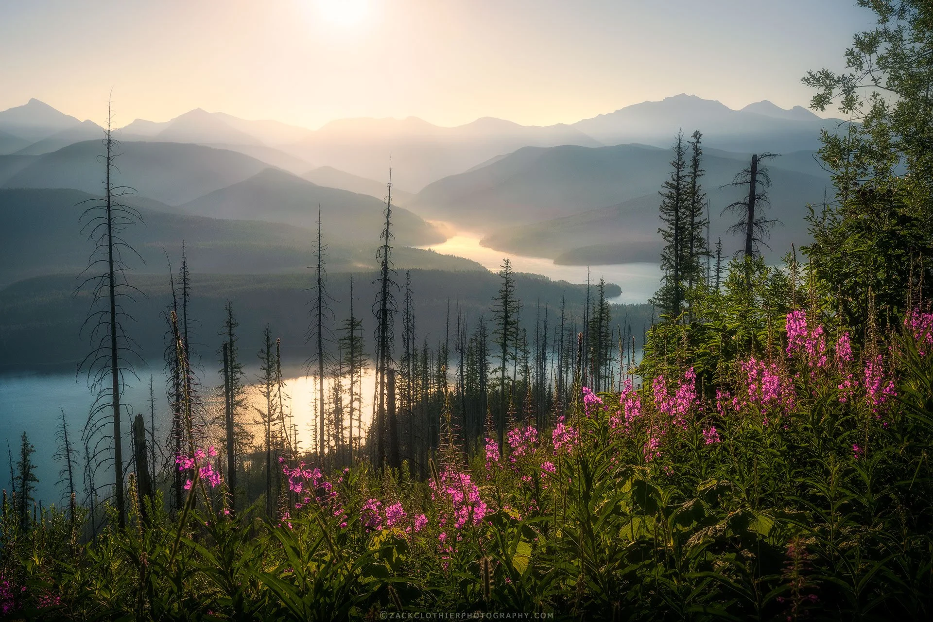 At-Peace-Montana-Fine-Art-Nature-Photography-Print.jpg