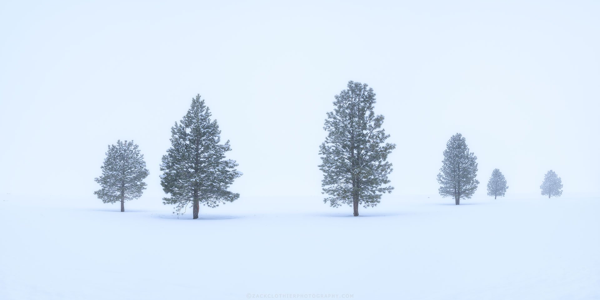 "Quietude"