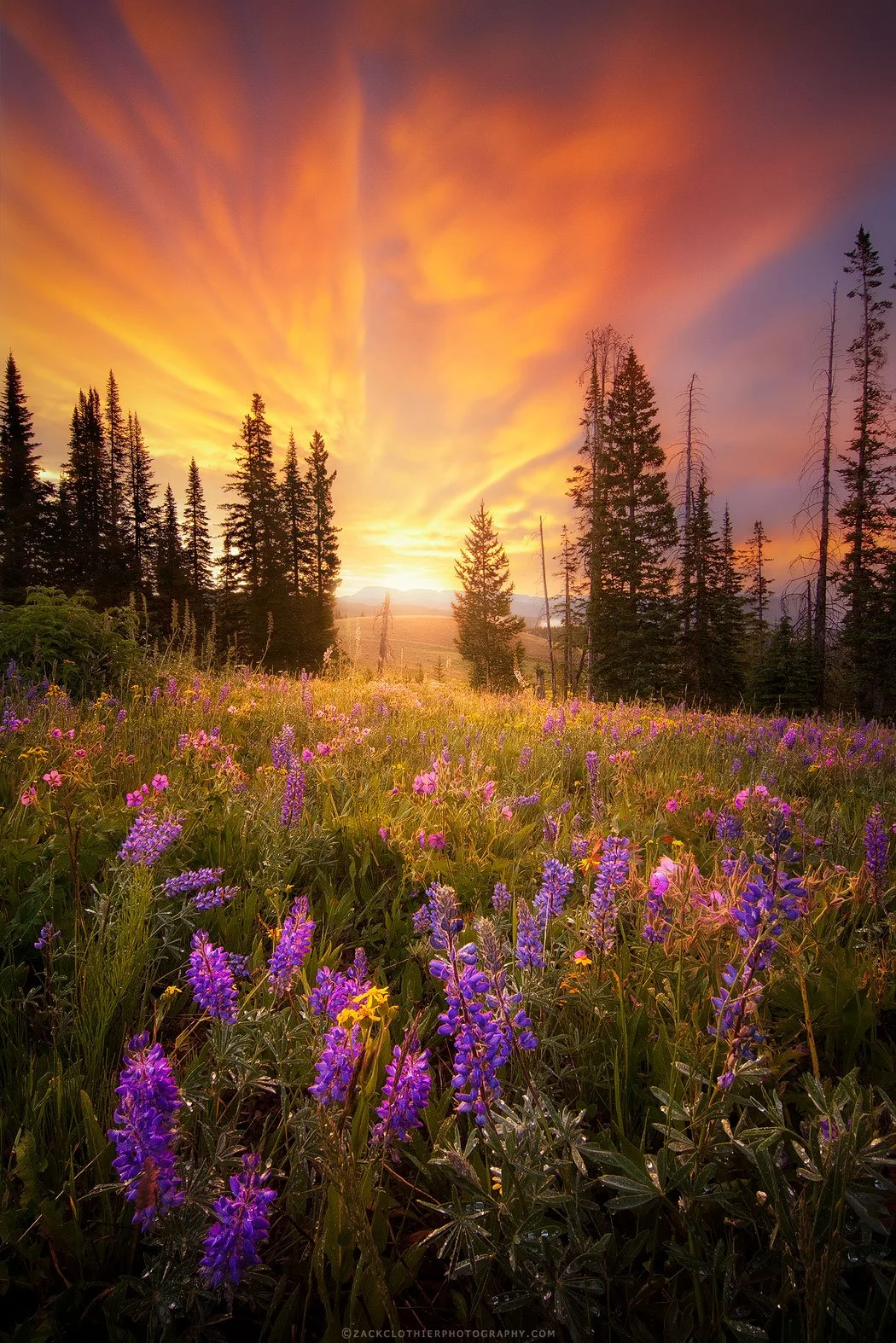 Days-Gone-By-Montana-Beartooths-Fine-Art-Nature-Photography-Print.jpg