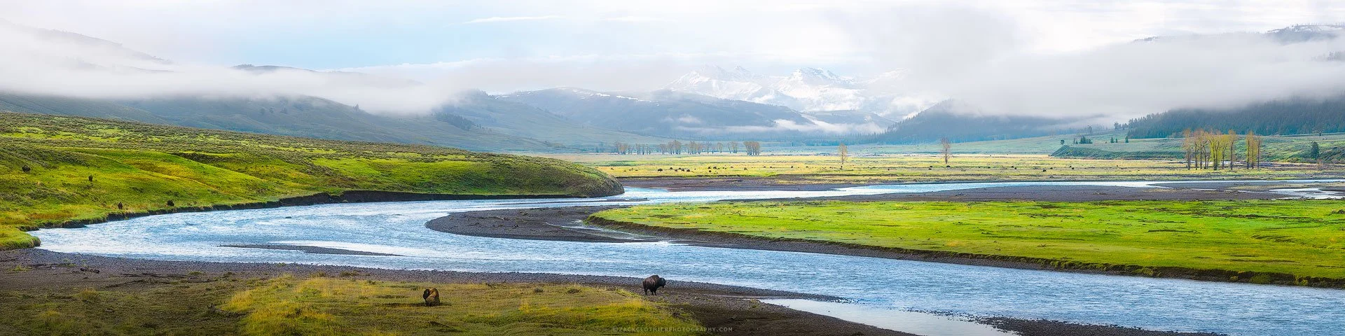 Buffalo-Valley-Yellowstone-Panoramic-Buffalo-Bison-Fine-Art-Nature-Photography-Print.jpg