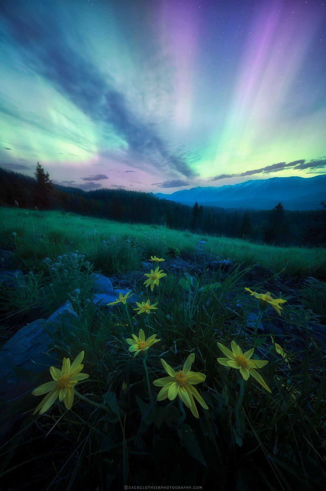 Skygazers-Montana-Aurora-Fine-Art-Nature-Photography-Print.jpg