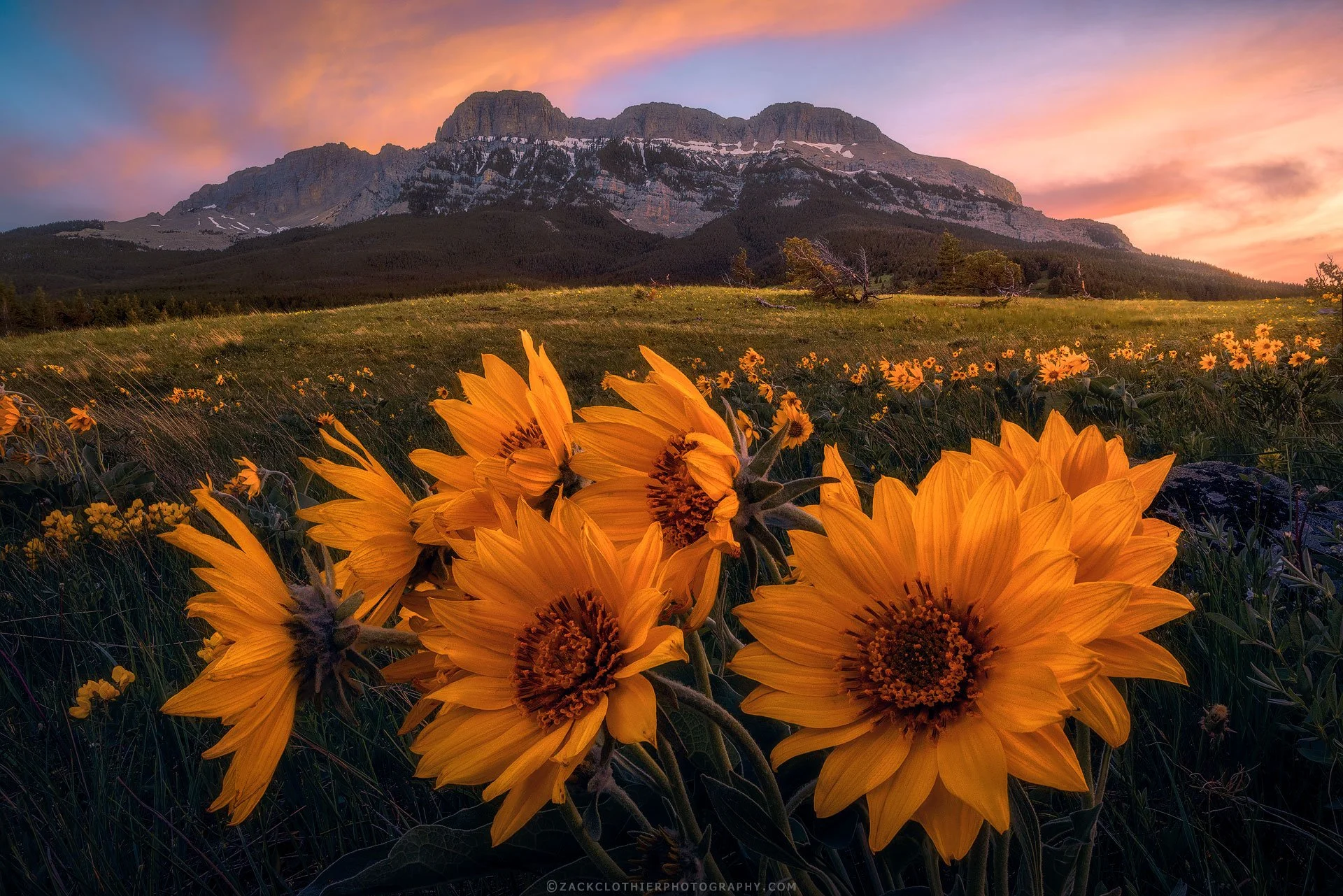Spring-Symphony-Montana-Rockies-Fine-Art-Nature-Photography-Print.jpg