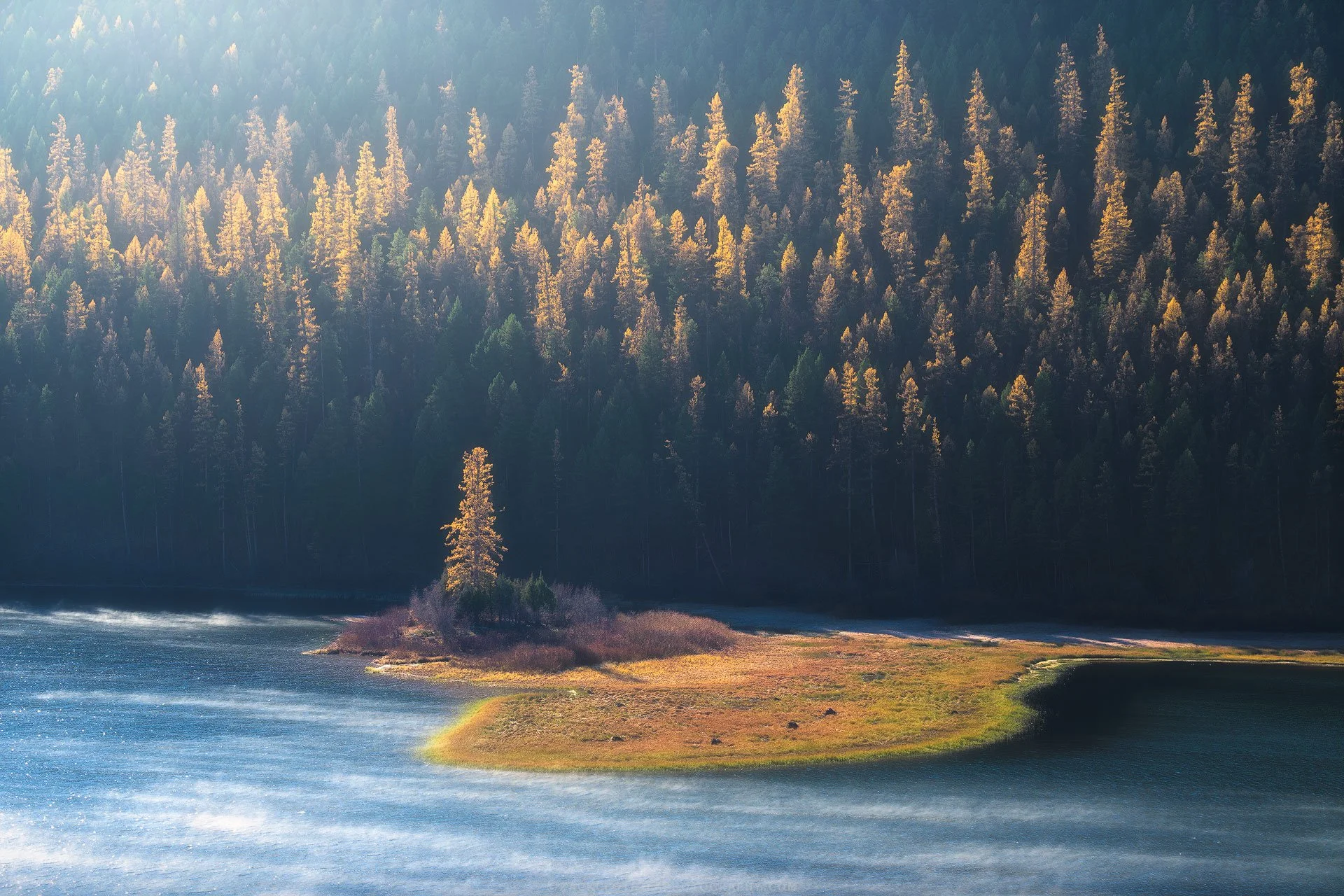 Lone-Legacy-Montana-Autumn-Fine-Art-Nature-Photography-Print.jpg
