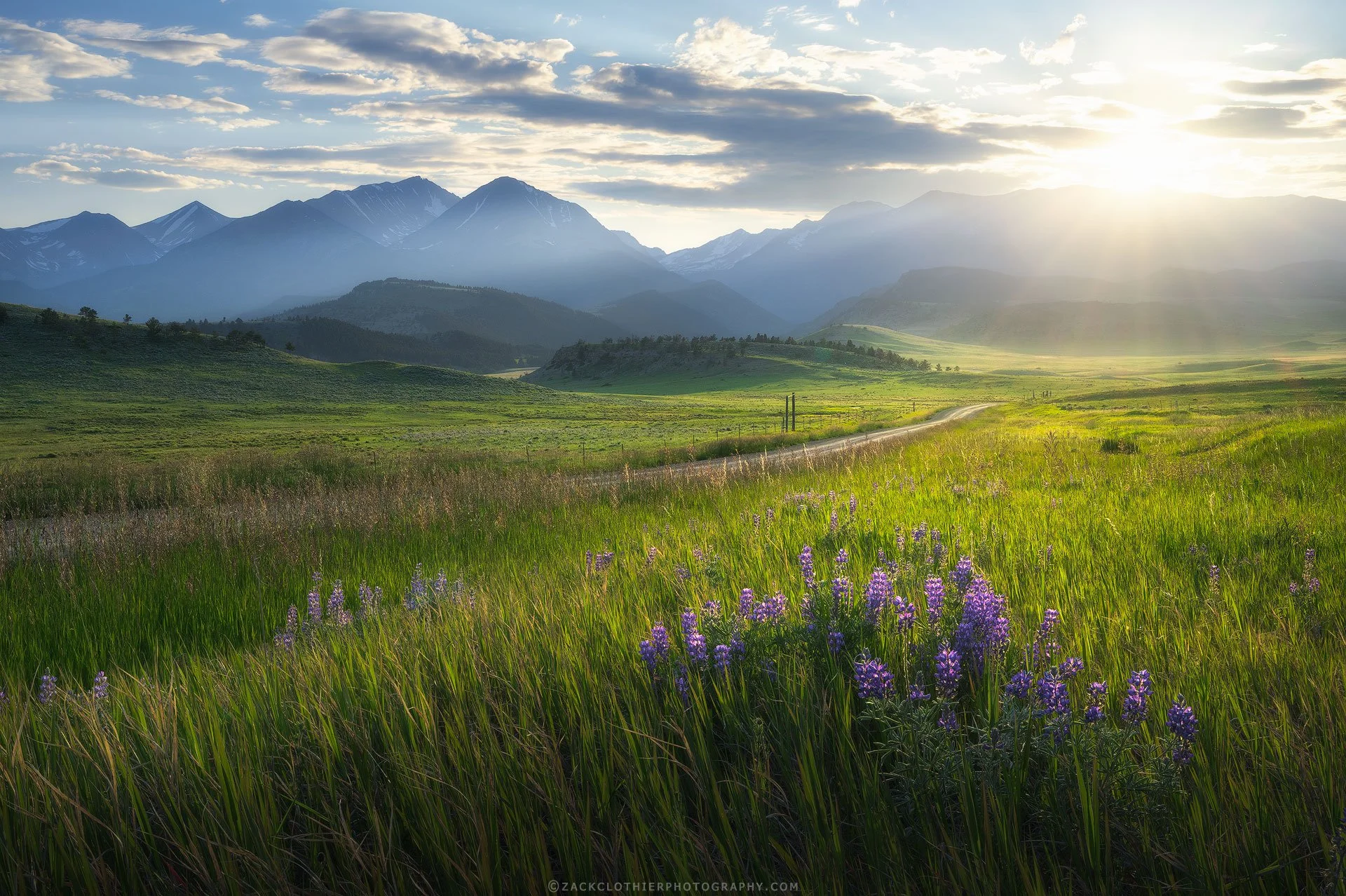 Guiding-Light-Montana-Fine-Art-Nature-Photography-Print.jpg