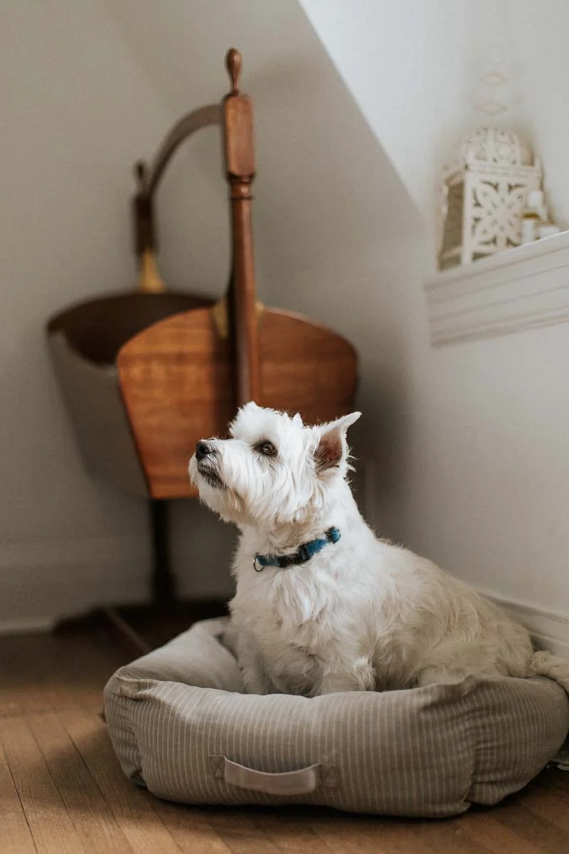 Emrys2019WebPortfolio-0706.jpg