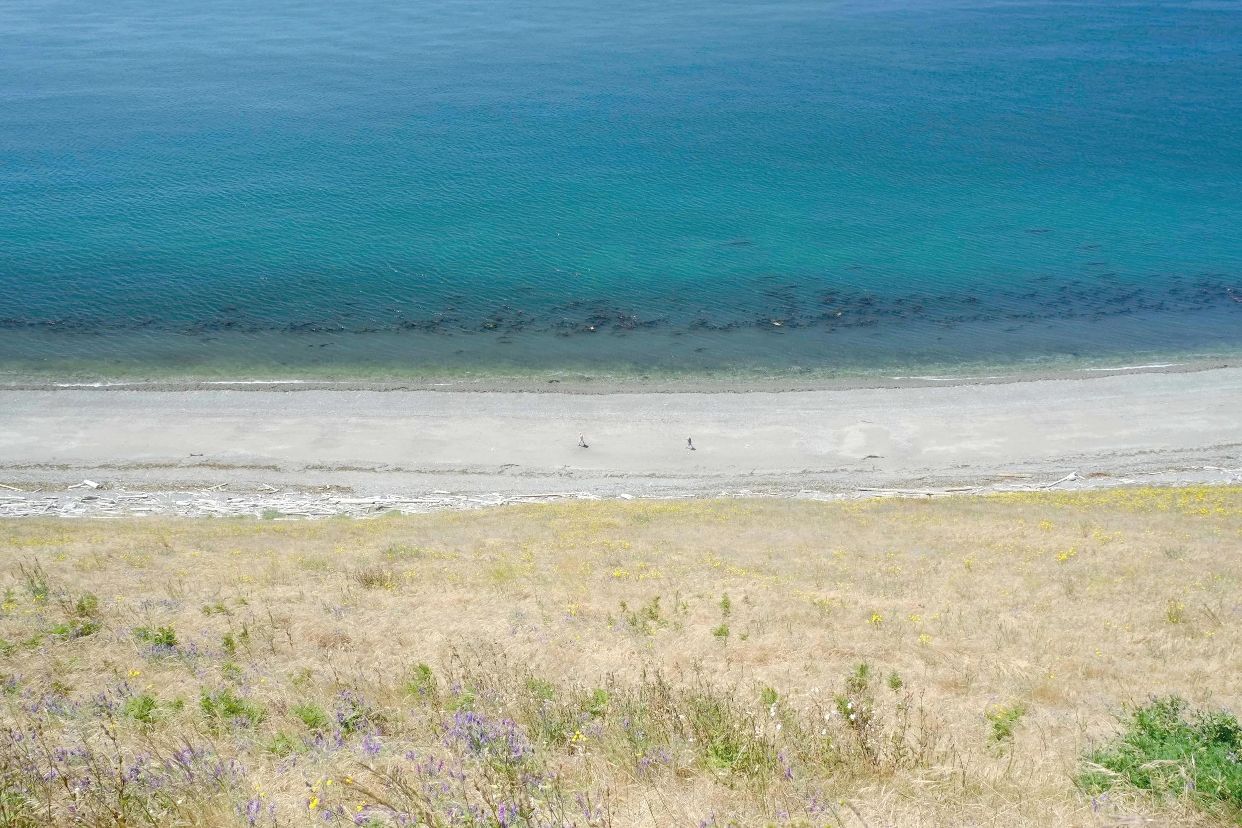 DSCF2436 compressed 33.JPG