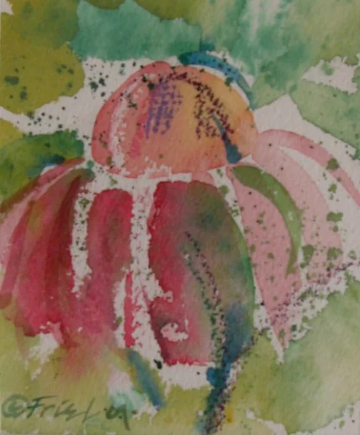 Coneflower III 9" x 12" S0LD