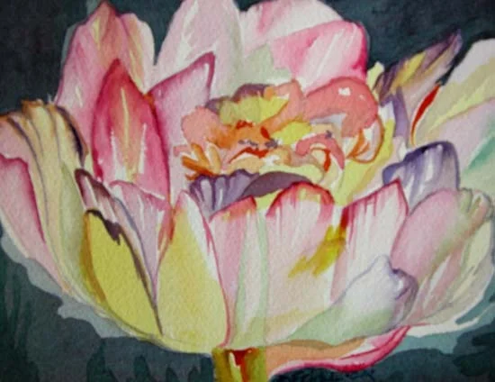 Little Peony
Watercolor
6" x 7"
$100
