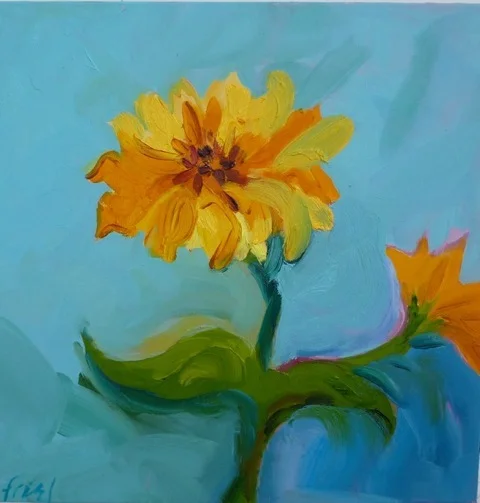 Yellow Zinnia
Oil on board
8" x 8"
$175
