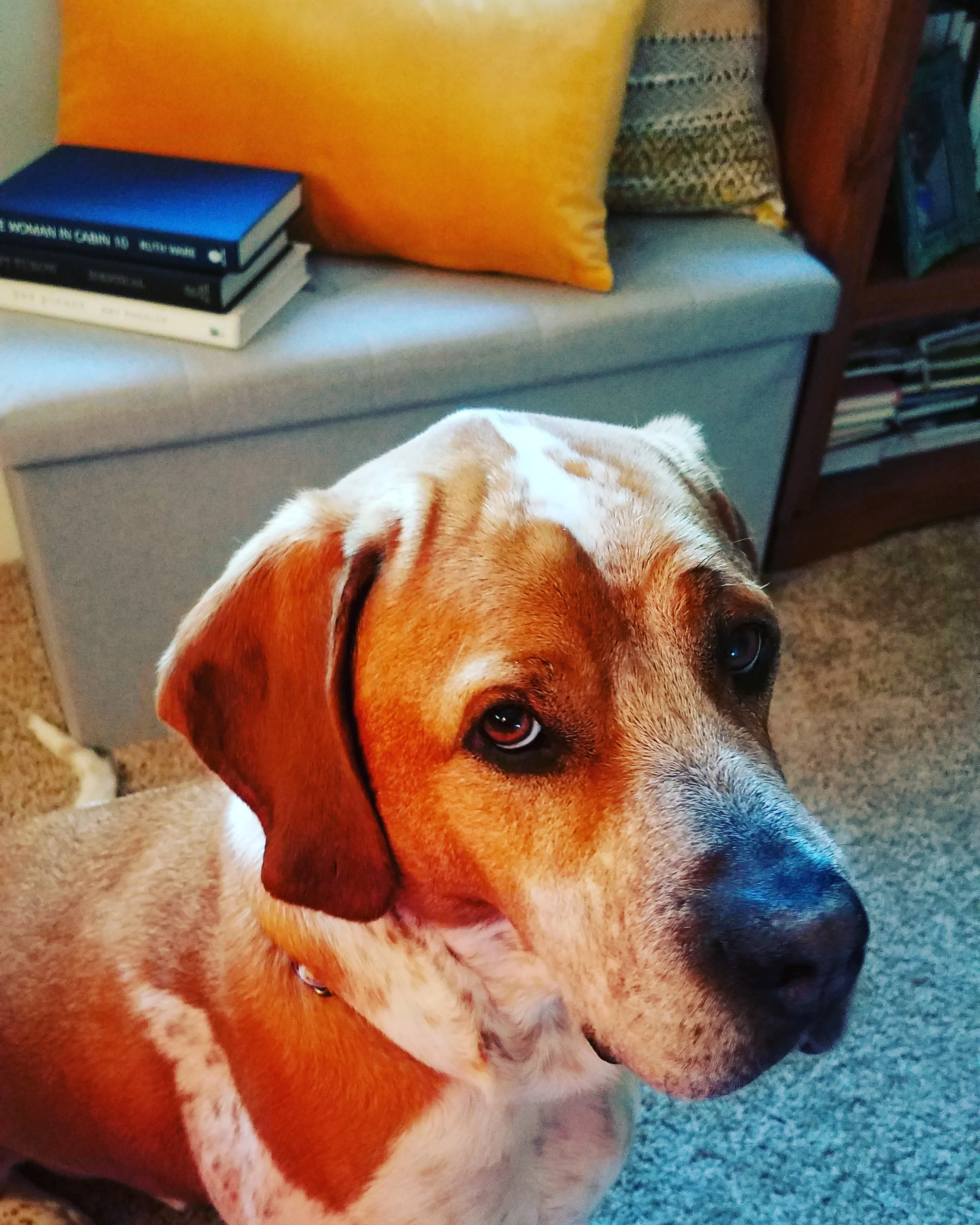 Hi, I'm Max.