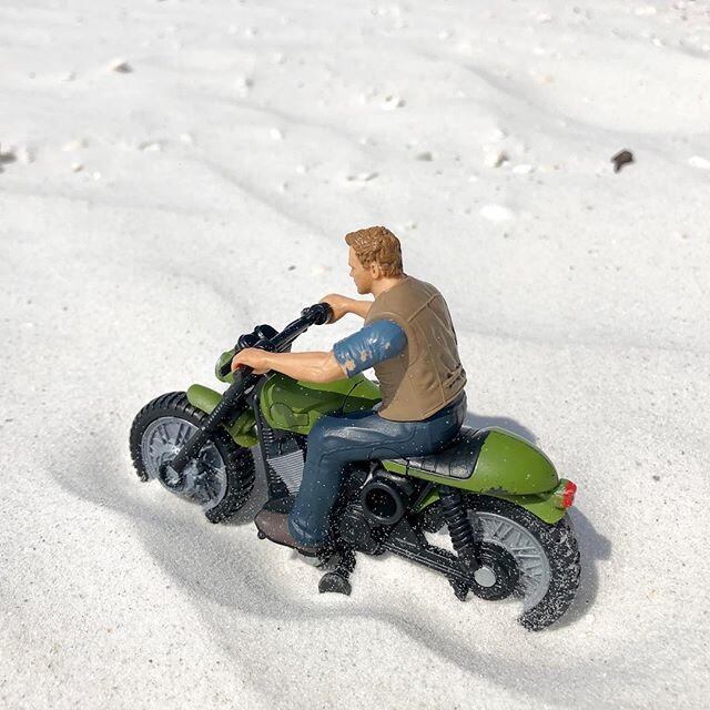 So close... yet... so far... 🏍💨💨💨 who needs #seashells when you can find lone #biker dude 😎 #siestakey #beachlife #florida