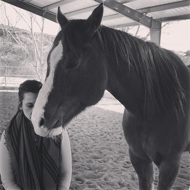 I know I just posted a horse photo, but this guy stole my heart today. He could have been anywhere in the whole entire arena, but he never left my side. That&rsquo;s true love 😍❤️ #weareone #horsecuddles #myprotector