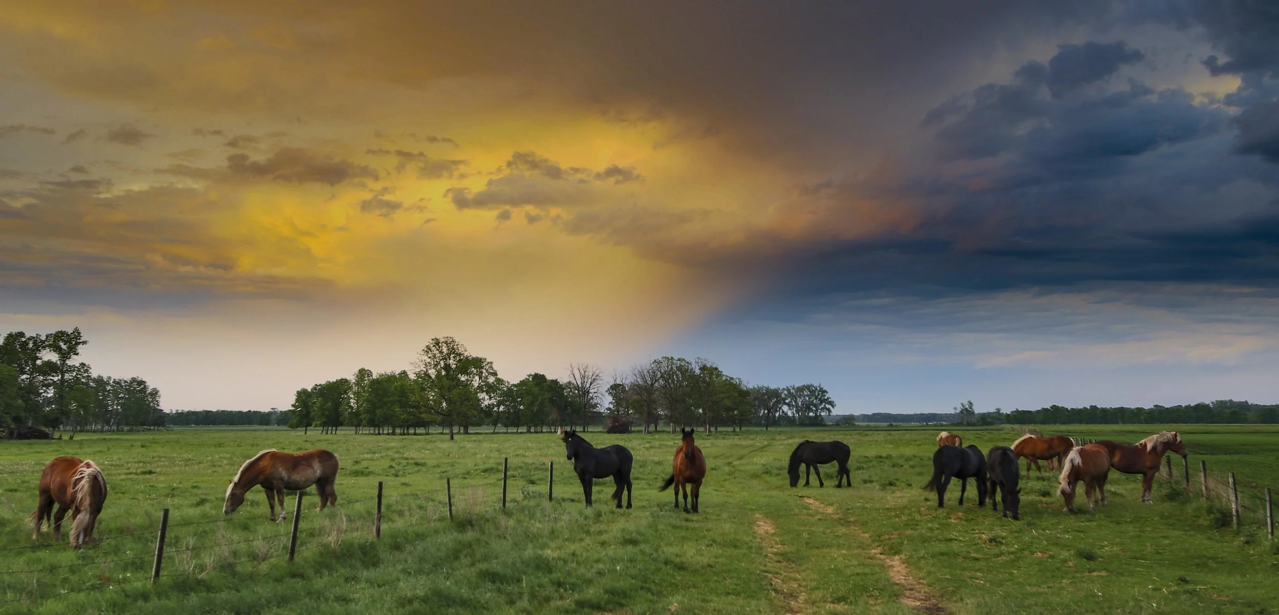 Storm over Horses (1 of 1).jpg