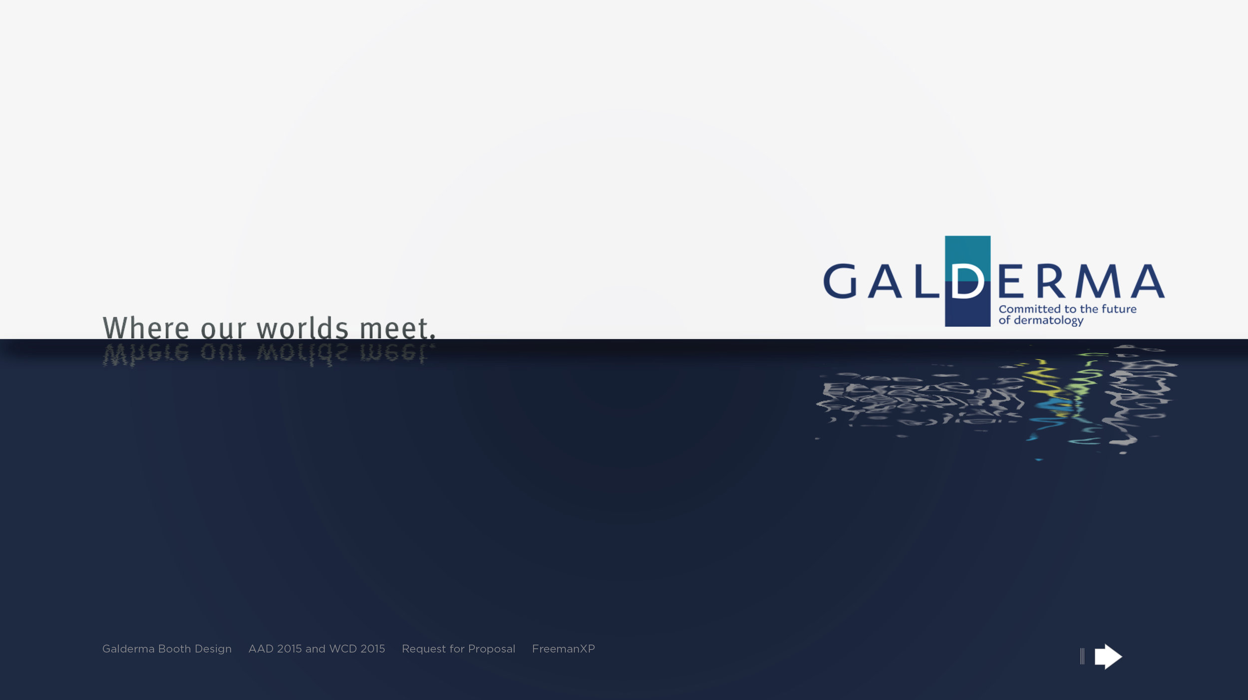 Galderma_RFP_PDF_11-25-14_p6.jpg