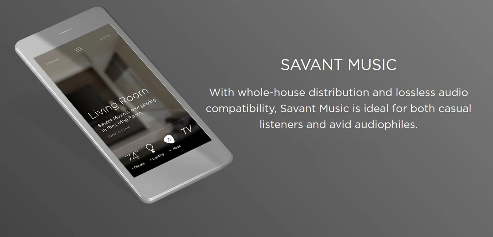 whole house music distribution systems