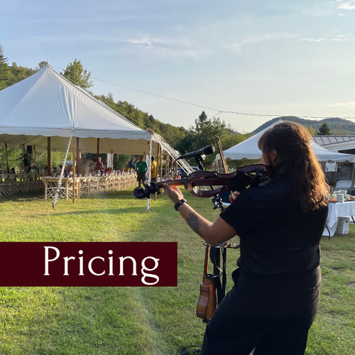 Live violin performance during cocktail hour, representing wedding band cost and live music options for weddings