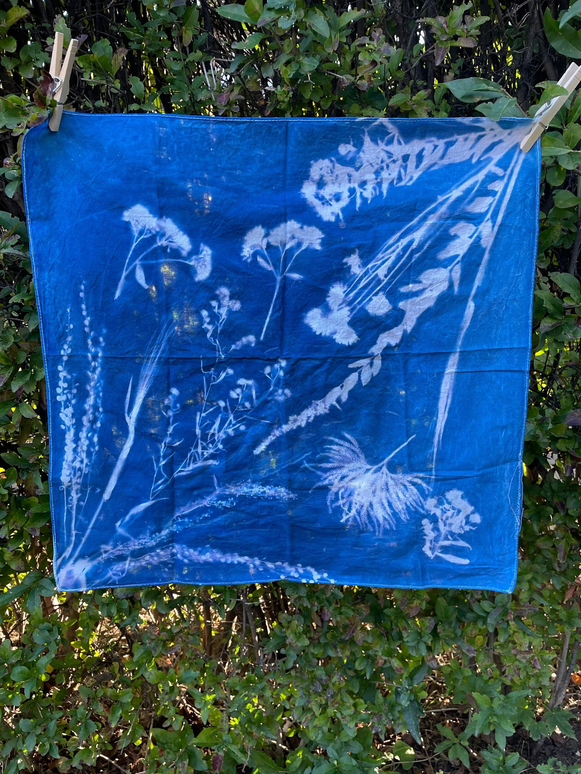 20D68BC5-90A4-479D-B6D2-5F367640677E