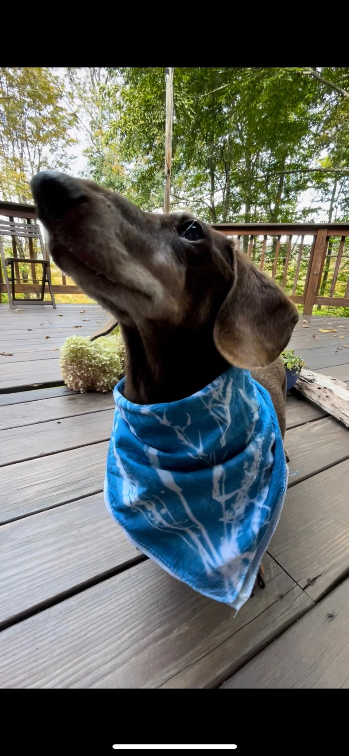 4A62A223-C2E5-4DD4-AF79-4958DDFE40ED