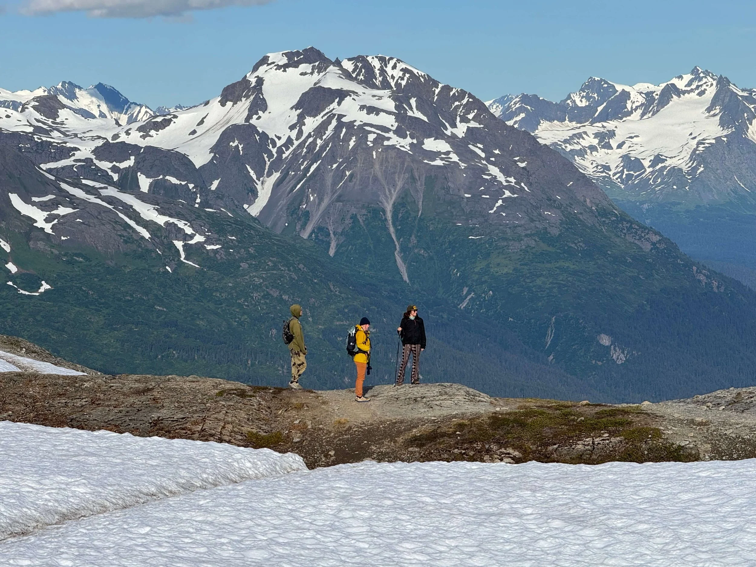 Alaska-Summer-Tours.JPG
