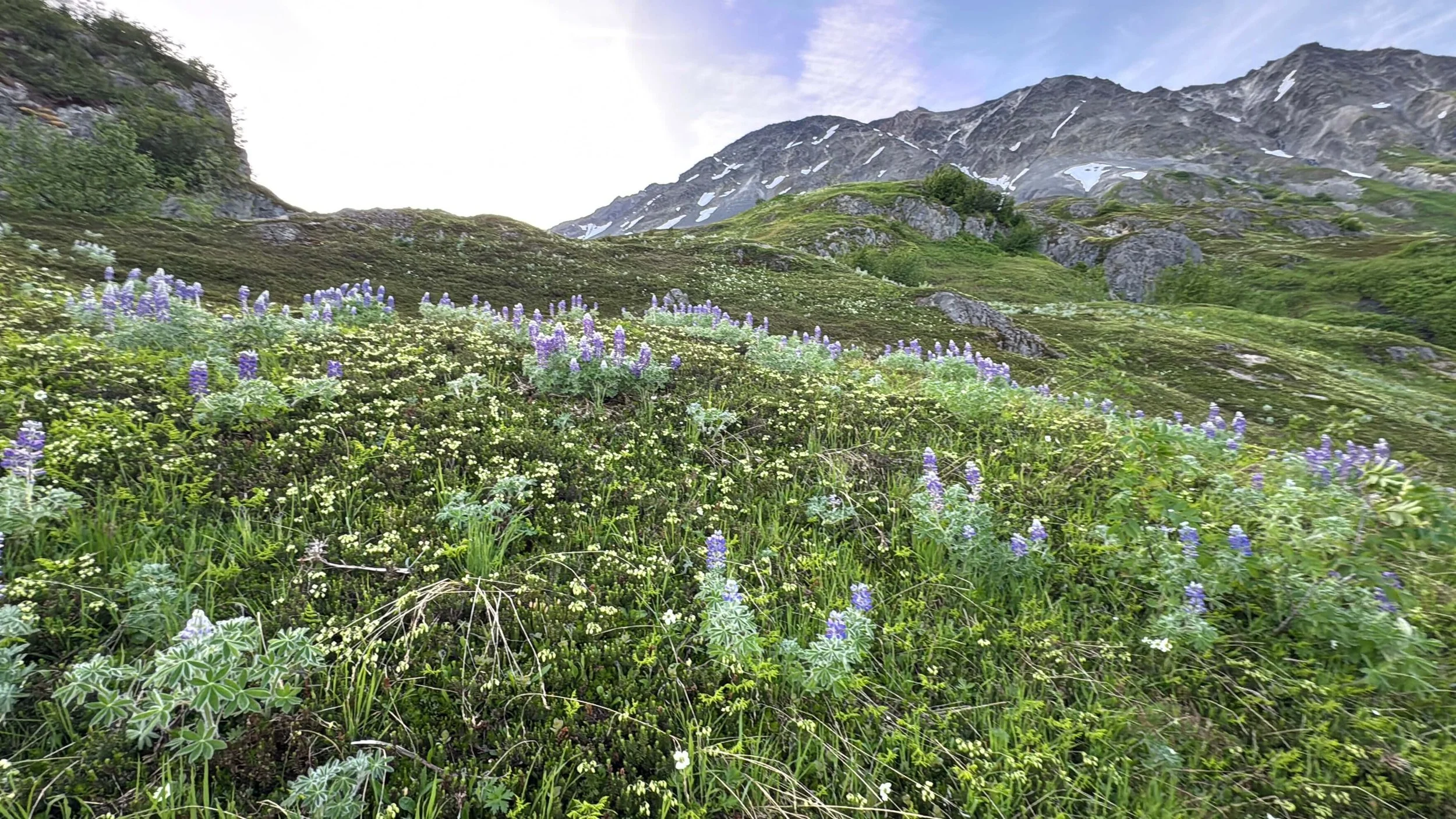 Hikes-in-Alaska.jpg