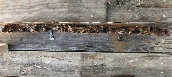 little bark shelves - 6 of 7.jpg