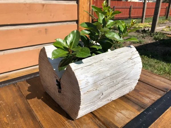 planters - 26 of 30.jpg