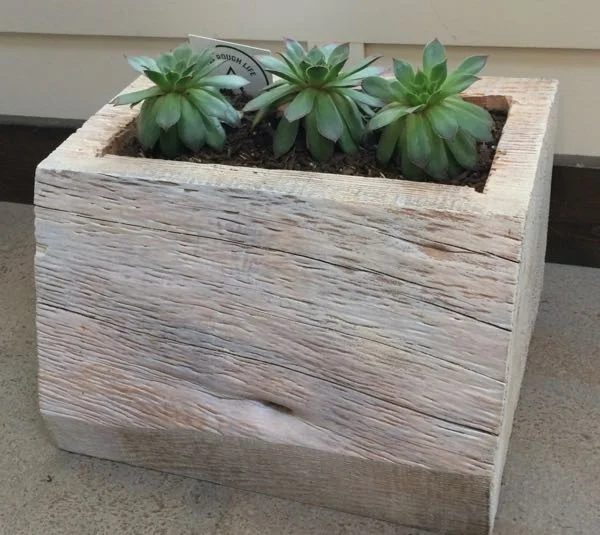 planters - 10 of 30.jpg