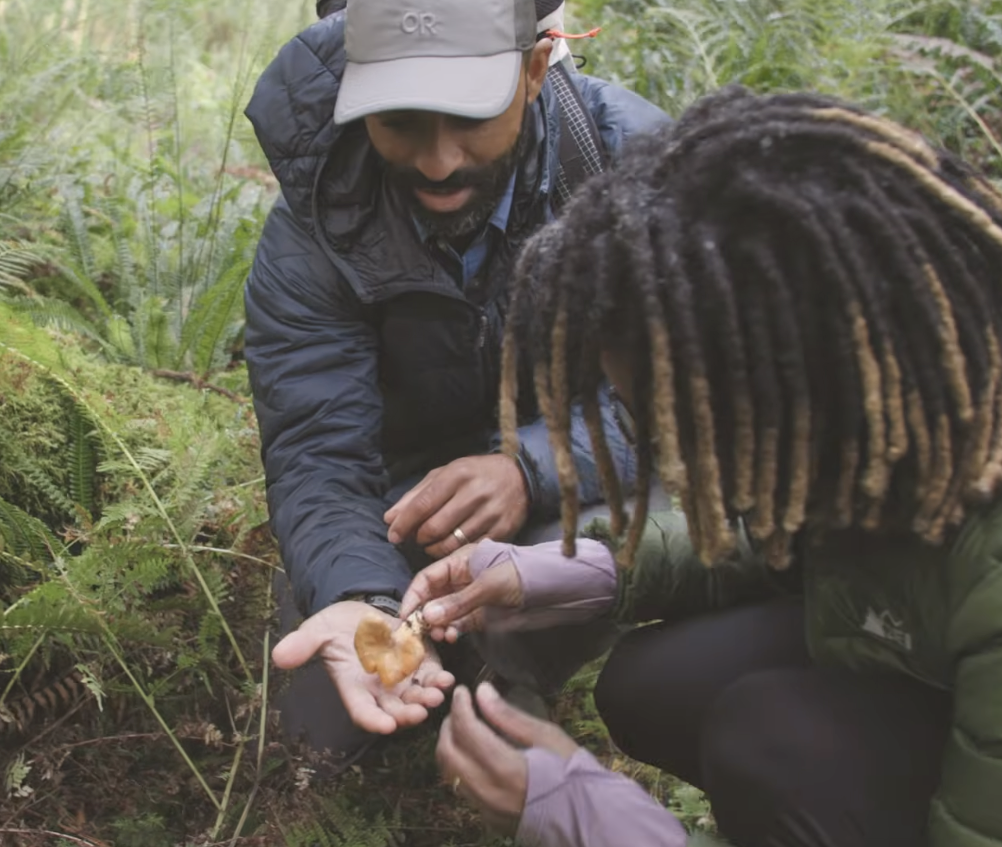 Fire, Shelter, Survival | Out & Back with Alison Mariella Désir