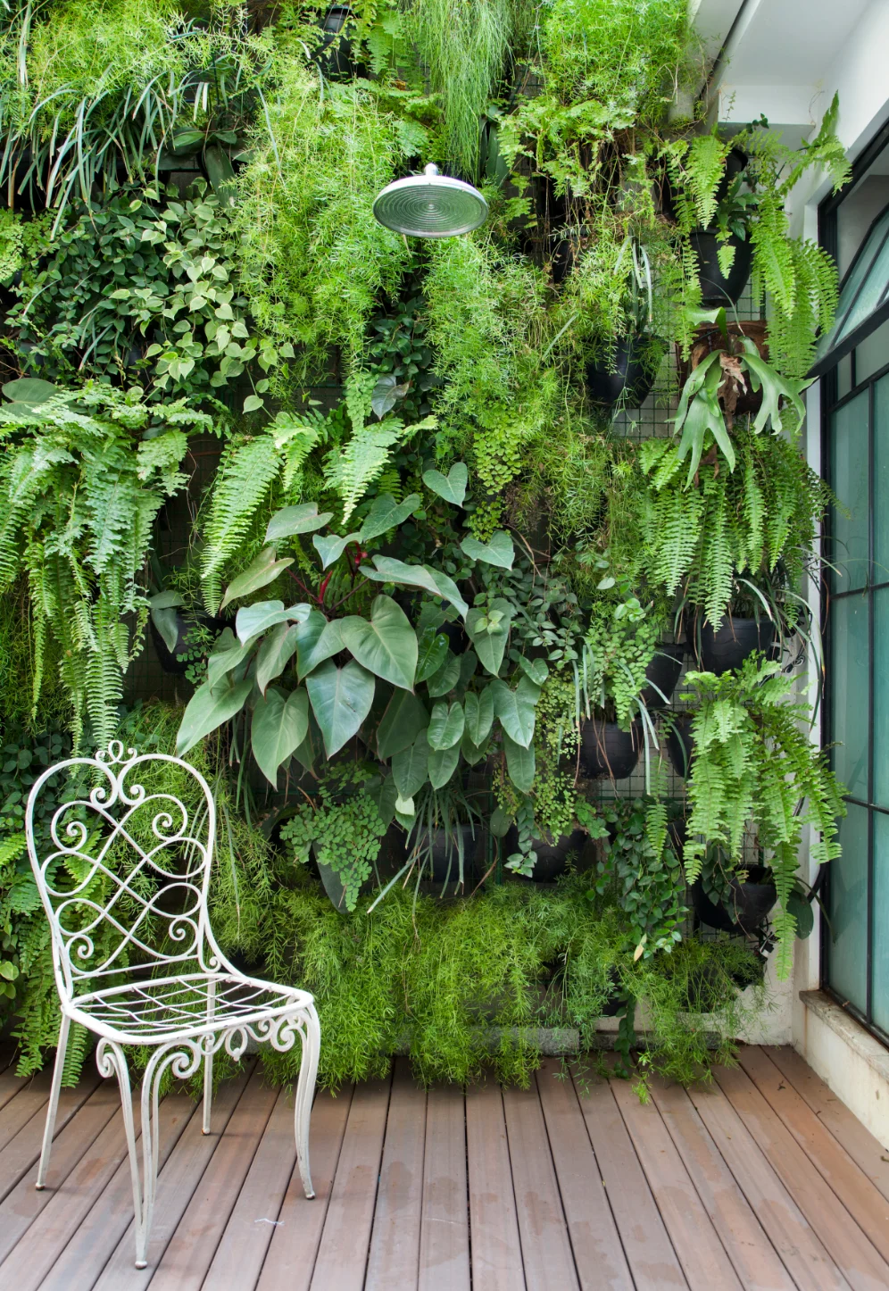 Urban oasis one.jpg