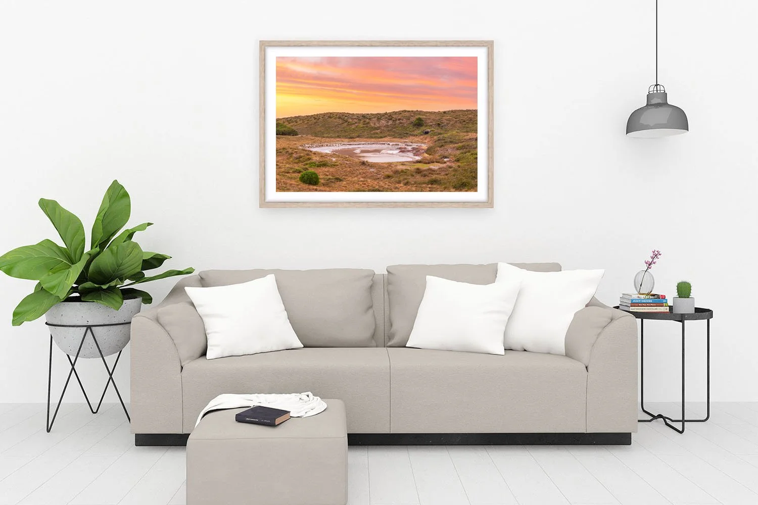 PARAKEET SWAMP - SUMMER SUNSETS OAK.jpg