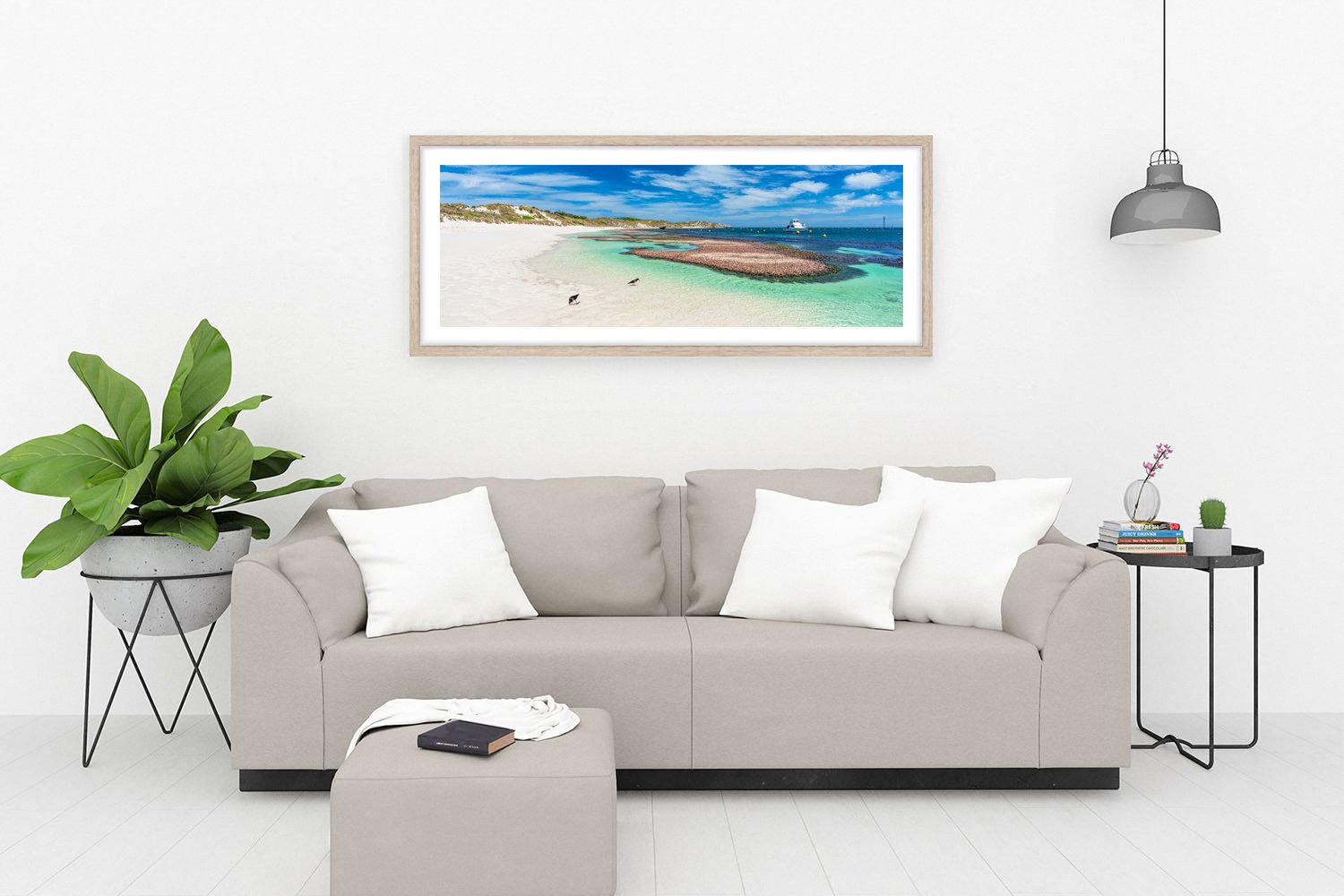 ROCKY BAY - LADY EDELINE BEACH OAK.jpg