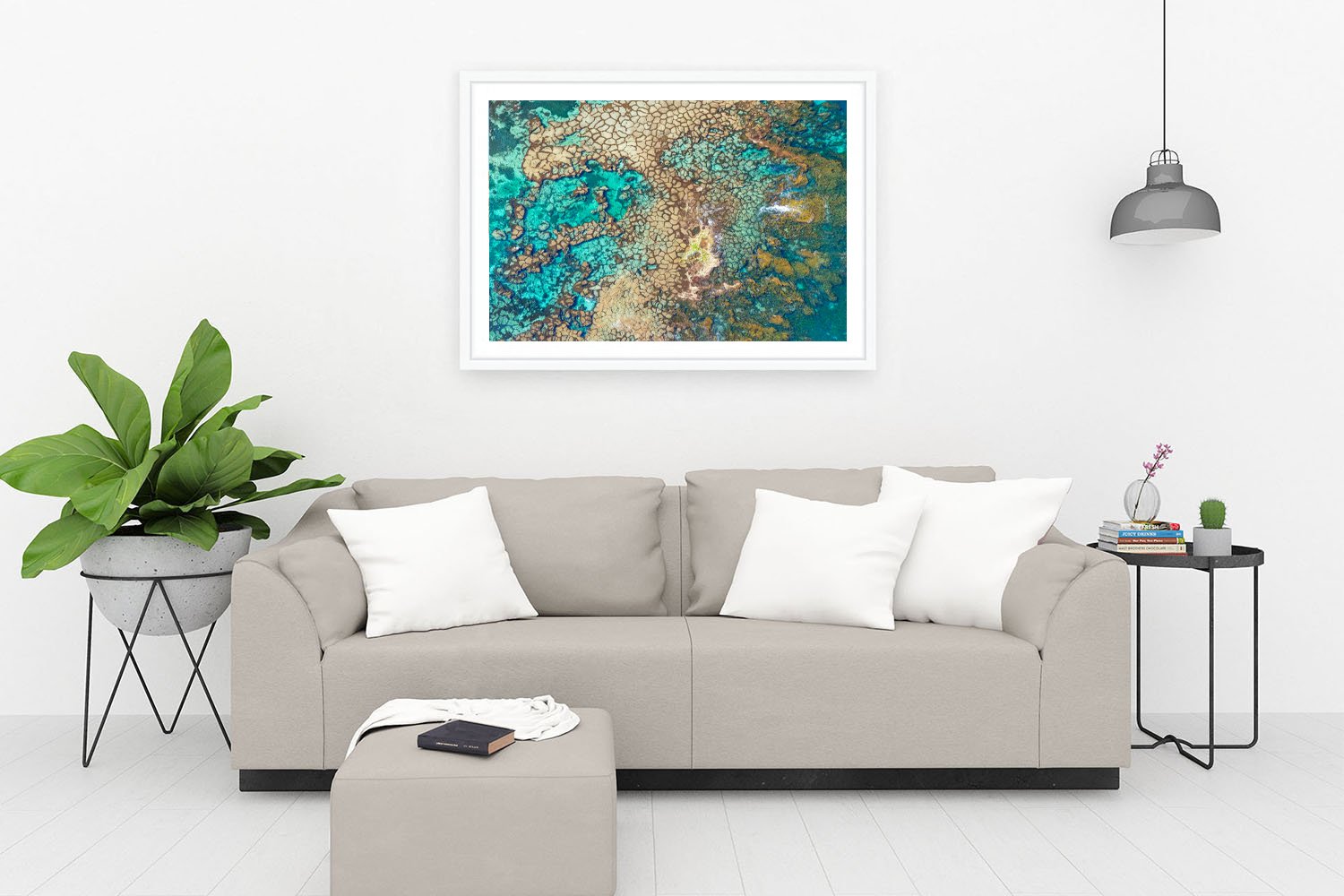 HAYWARD CAPE - ALGAL POLYGONS WHITE.jpg