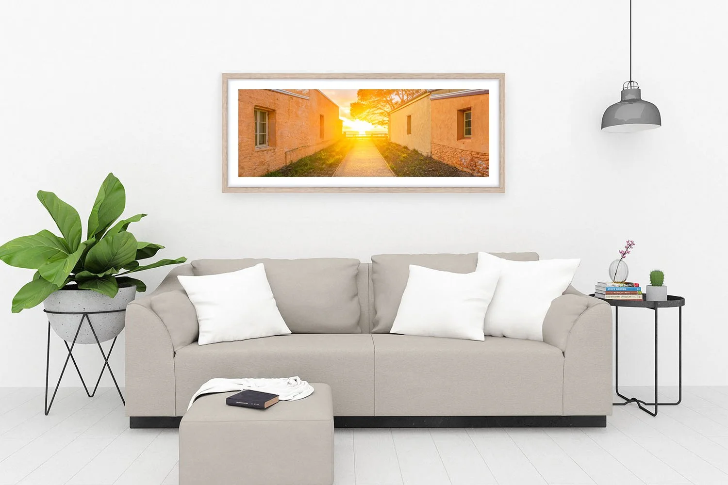 THOMSON BAY - THE WALK OAK.jpg