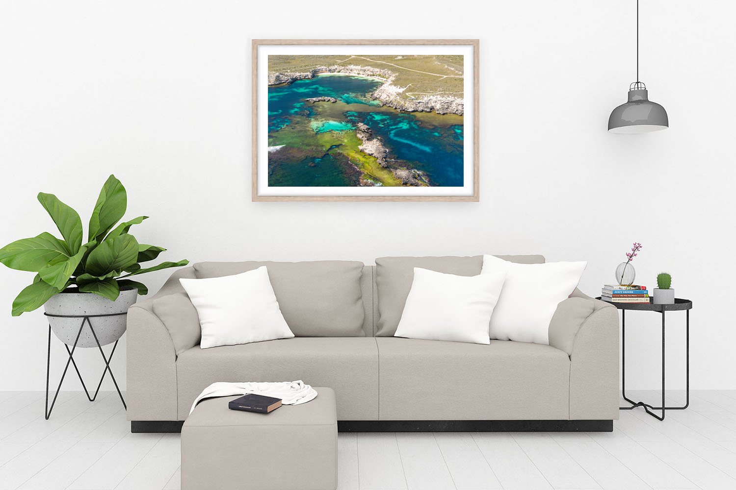 CATHEDRAL ROCKS - FLY BY OAK.jpg