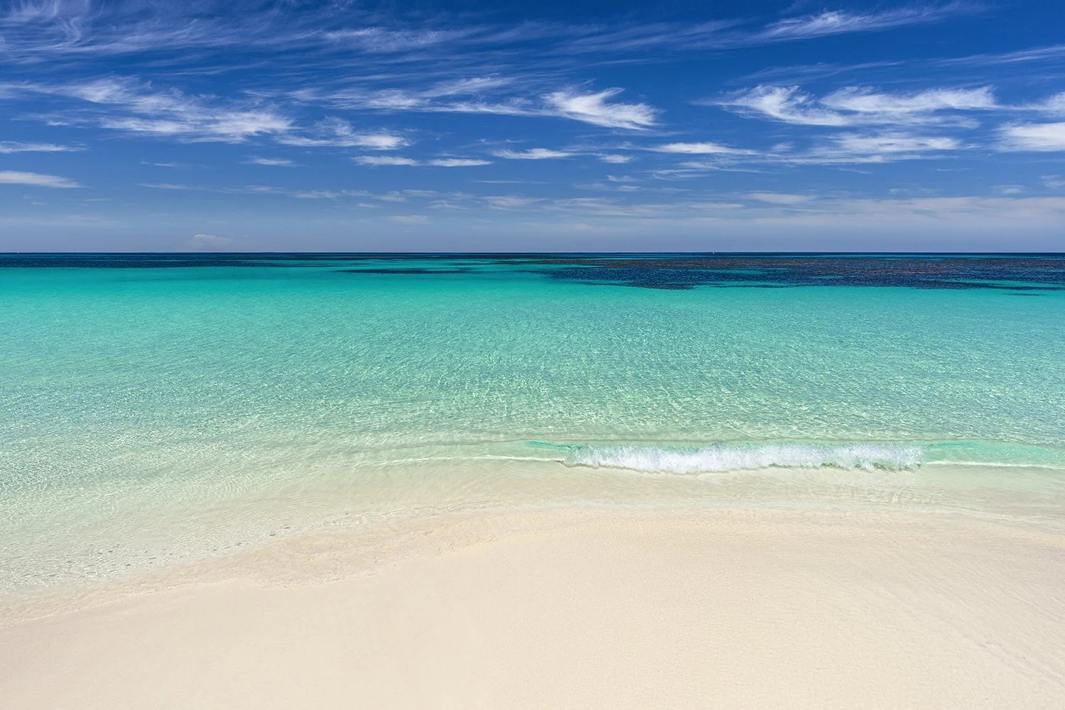 STRICKLAND BAY - PARADISE.jpg