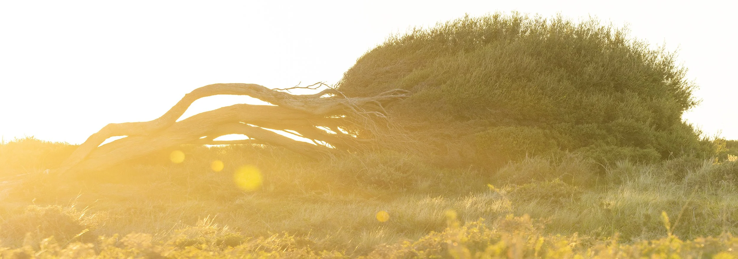 ROTTNEST ISLAND - WINDY ALWAYS.jpg