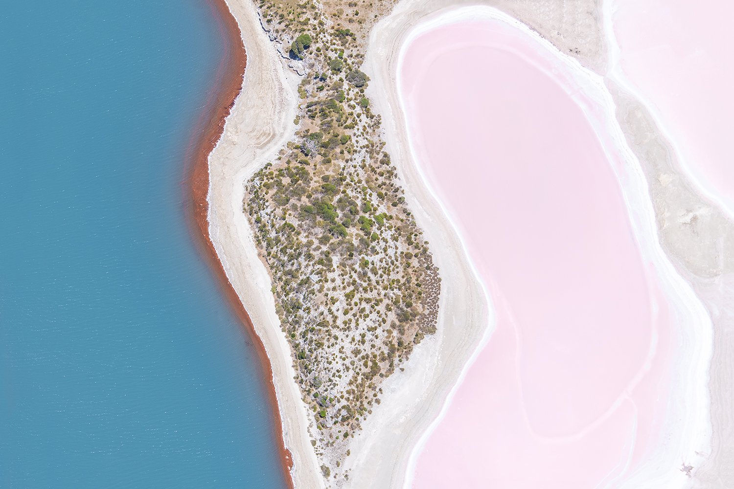 PEARSE LAKES - SUMMER HUES 32.jpg