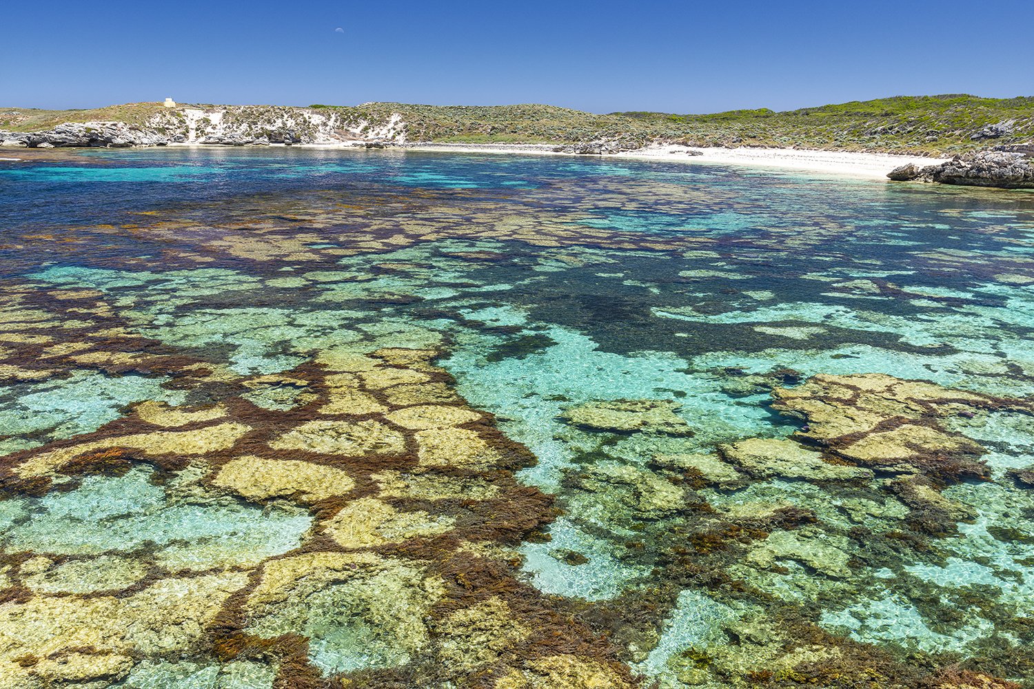 MARY COVE - ALGAL POLYGONS from $255 AUD