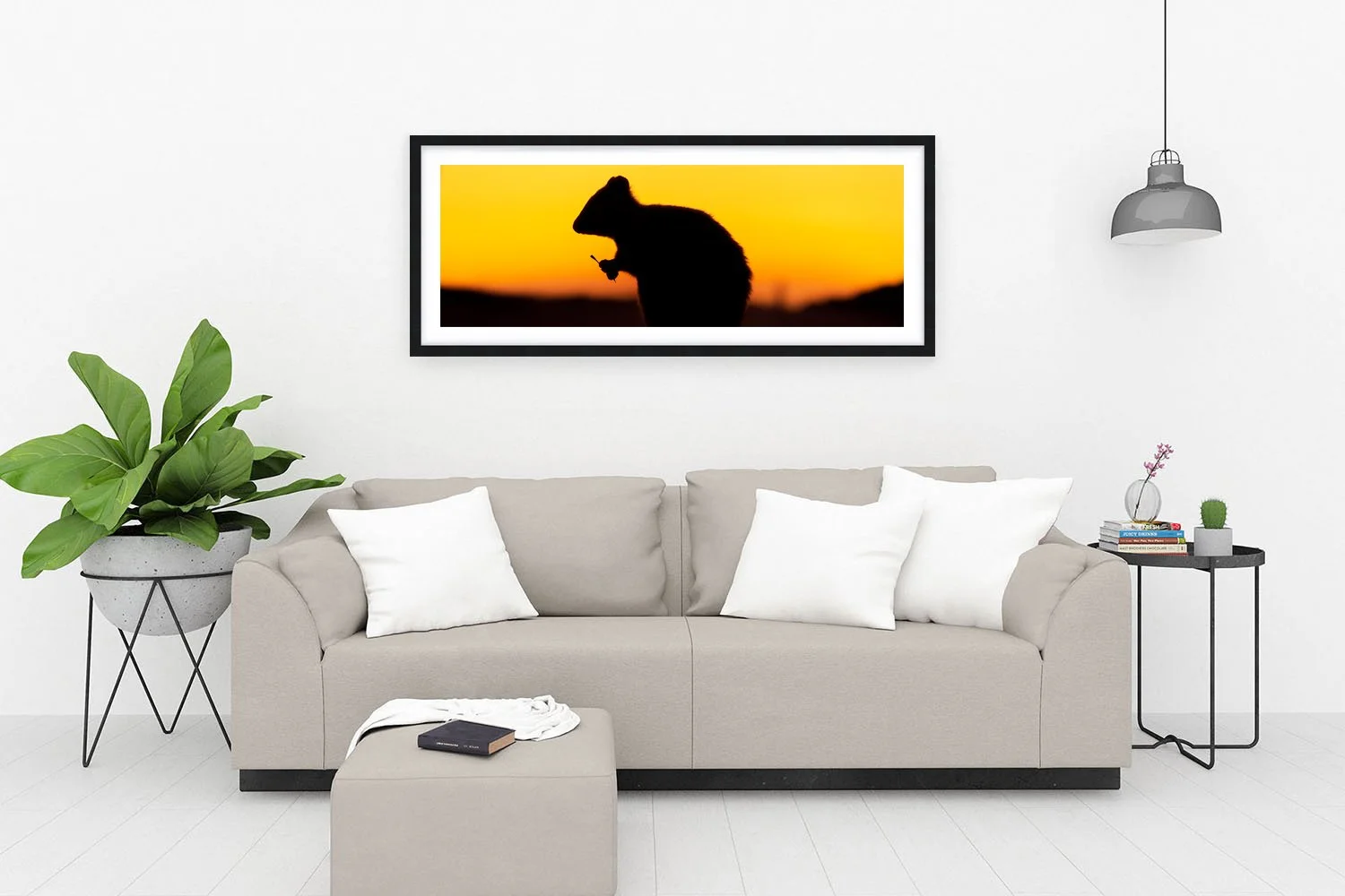 ROTTNEST ISLAND - THE QUOKKA BLACK.jpg