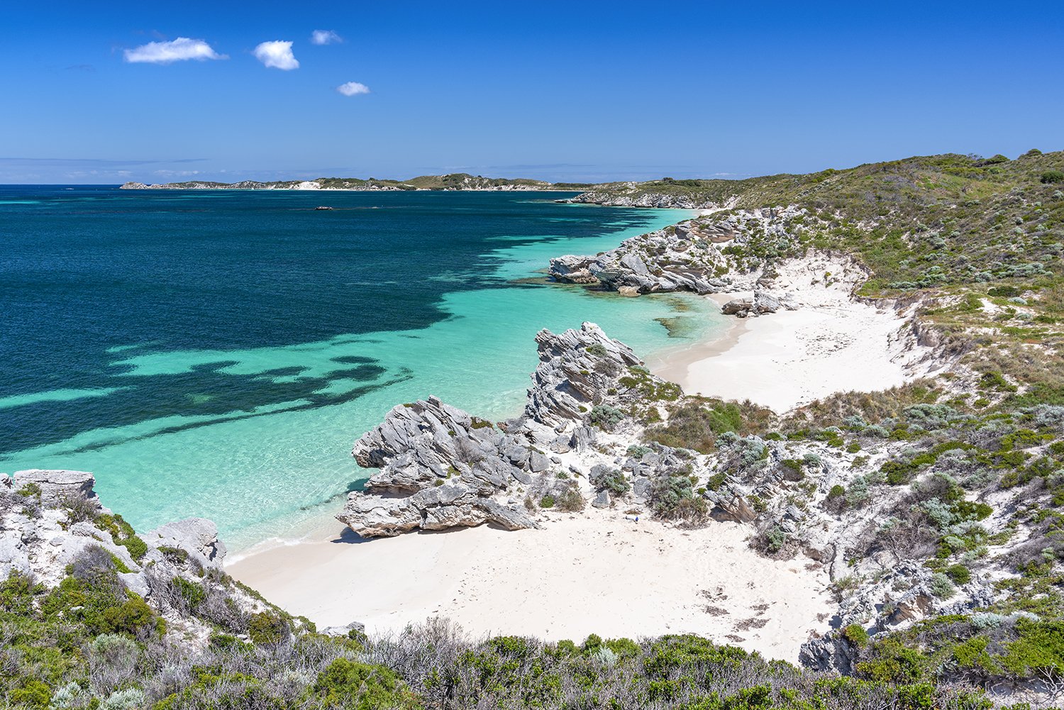 PATERSON BEACH - DILEMMAS  from $255 AUD