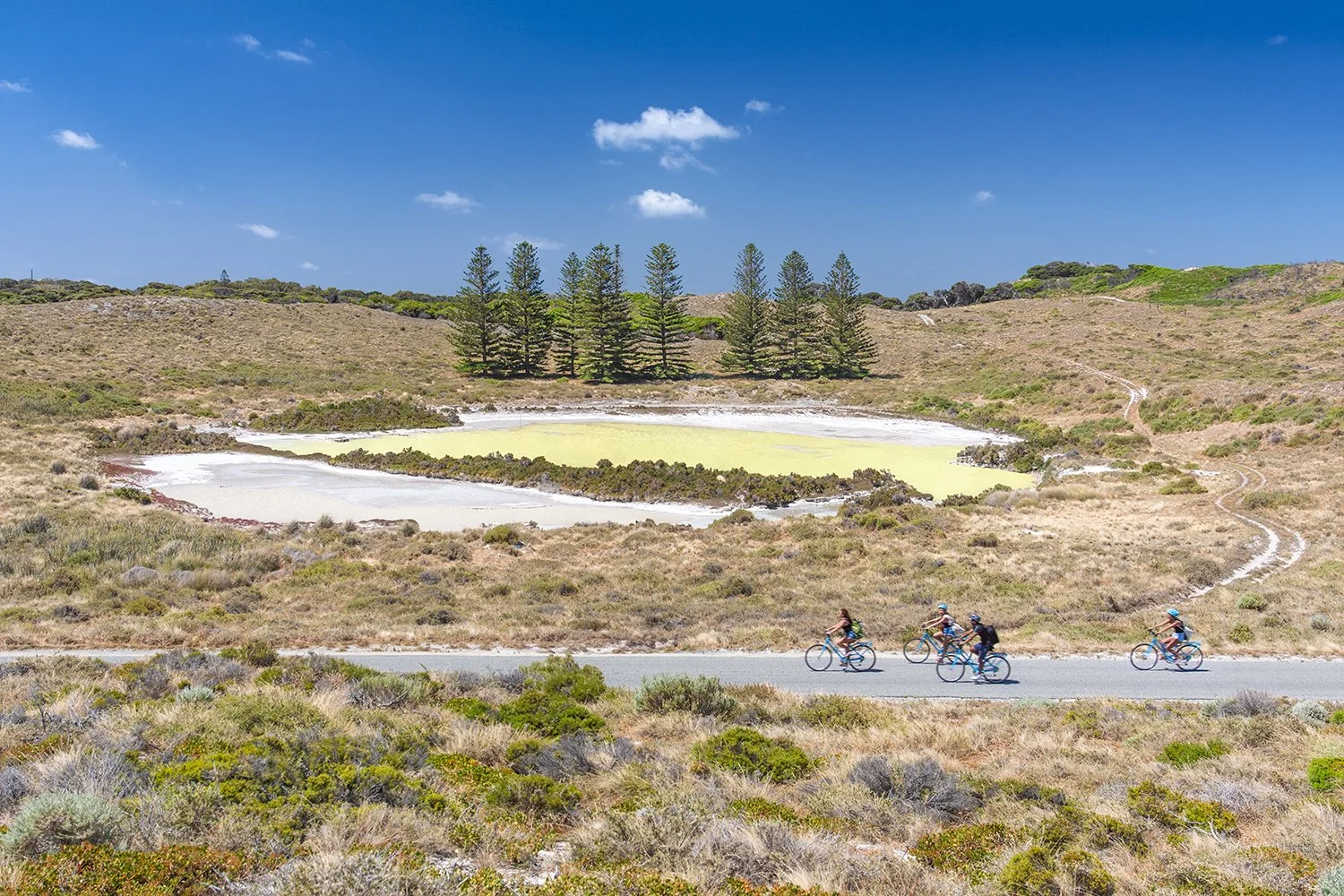 SALMON SWAMP - ROLL ON.jpg