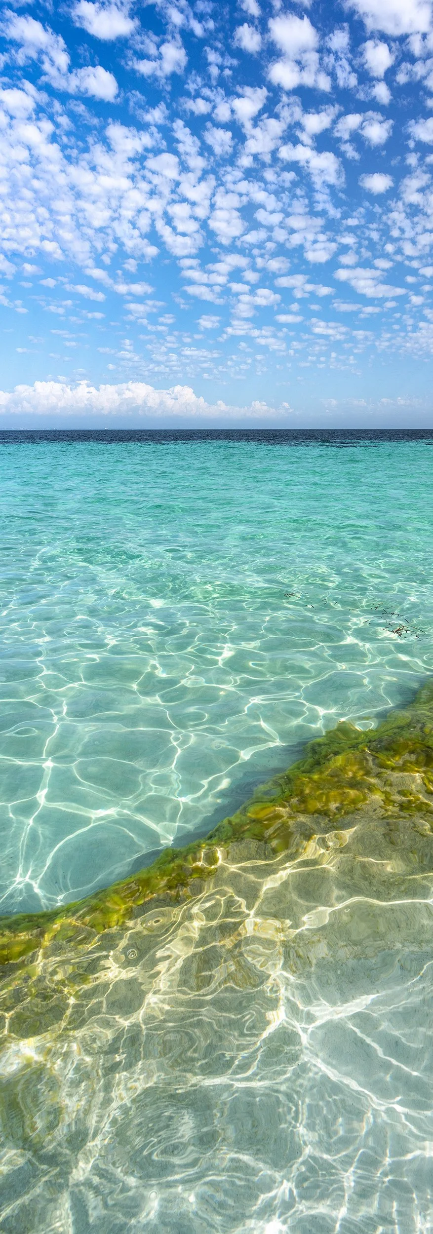 BICKLEY BAY - PATTERNS OF PARADISE.jpg