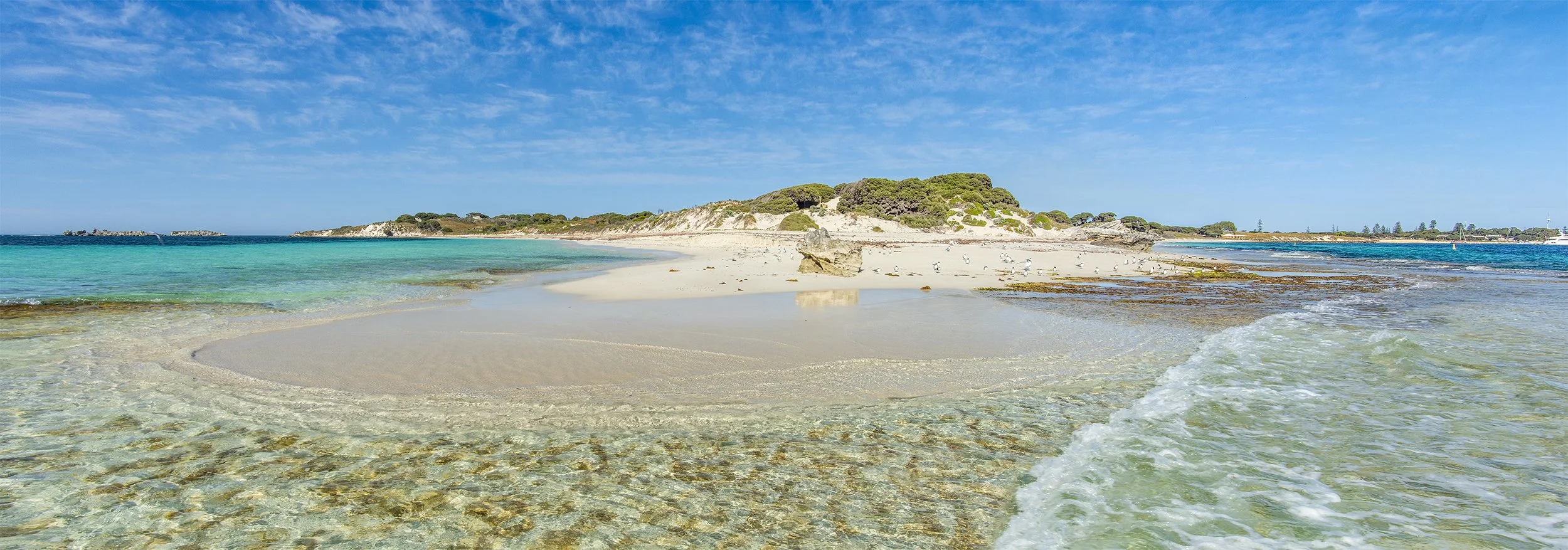 NATURAL JETTY - LOOKING BACK.jpg