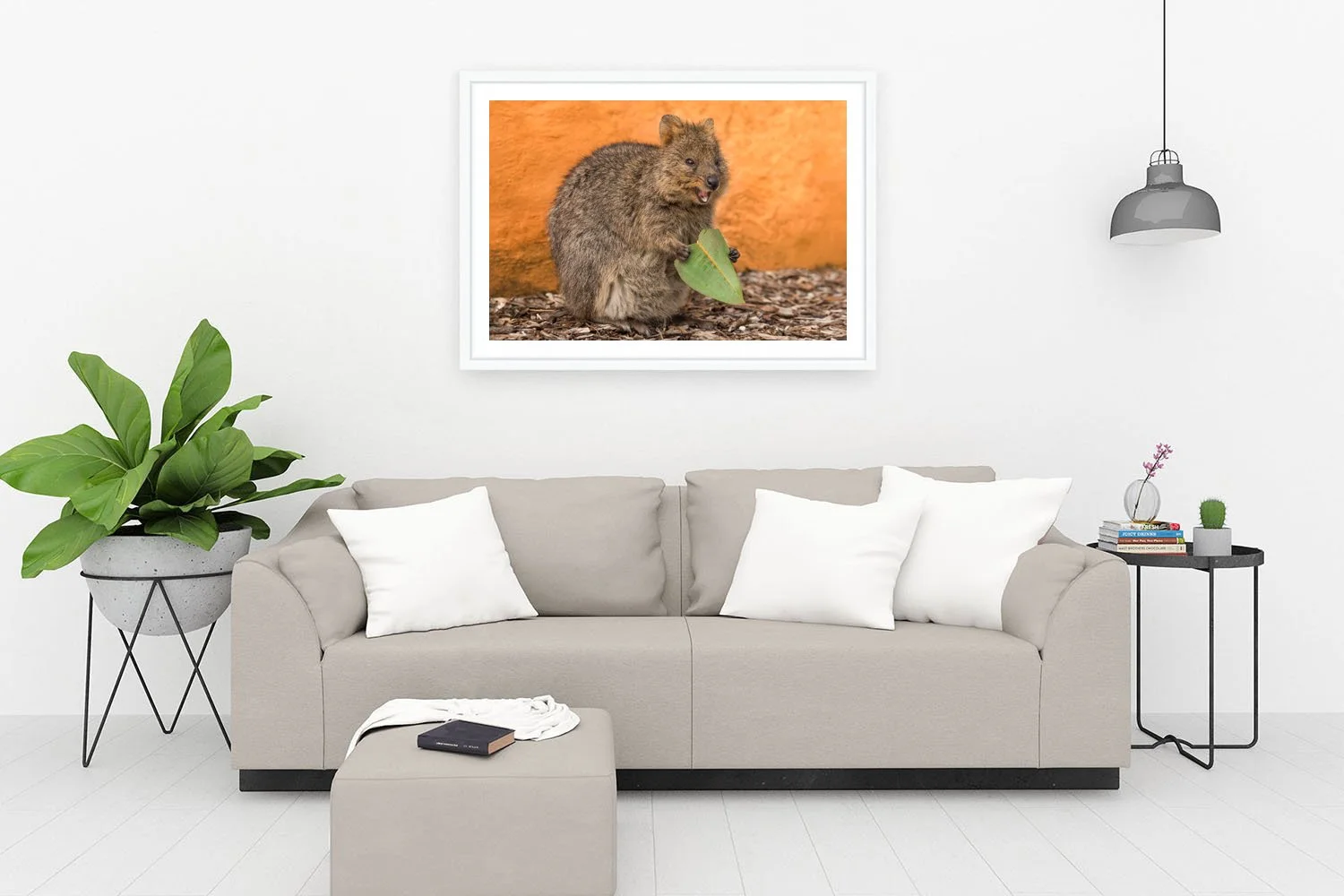 ROTTNEST ISLAND - QUOKKA LOVE WHITE.jpg